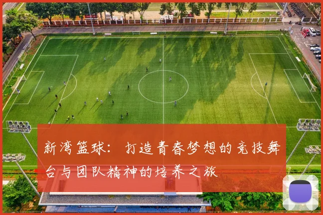 新湾篮球：打造青春梦想的竞技舞台与团队精神的培养之旅
