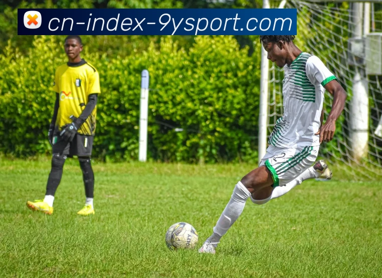 App Interface Preview